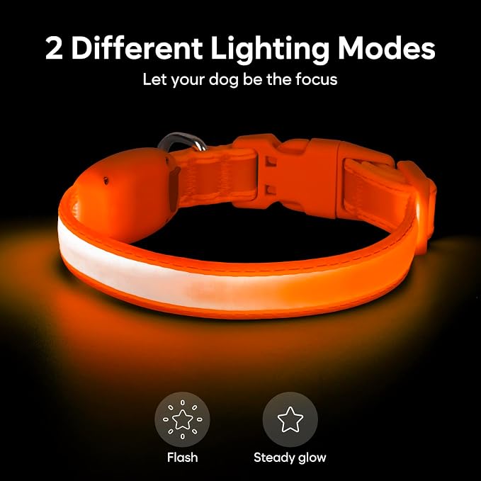 Light up Collar for Small Dog,Vizpet XS Adjustable Size Nylon Led Collar | USB Rechargeable Bright Safety Pet Collar for Cats Small Dogs (Orange, X-Small[ 8.66-11.9 inch/22cm-30cm]) - Image 2