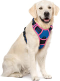 rabbitgoo Dog Harness, No Pull for Large Dogs with 2 Leash Clips, Pet Vest | No Choke with Handle, Adjustable Soft Padded, Reflective, Easy Control for Walking, Blue & Hot Pink, X-Large by rabbitgoo