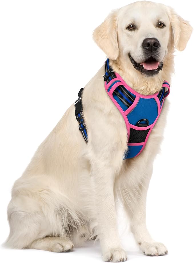 rabbitgoo Dog Harness, No Pull for Large Dogs with 2 Leash Clips, Pet Vest | No Choke with Handle, Adjustable Soft Padded, Reflective, Easy Control for Walking, Blue & Hot Pink, X-Large by rabbitgoo