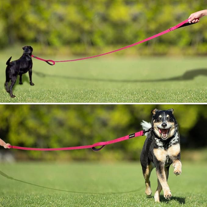 Plutus Pet Double Handle Dog Leash, 6 FT Long, for Medium Large Dogs | Reflective Nylon, Soft Padded 2 Handles, Heavy Duty for Training, Dual Handle Lead, 6 FT x 1”, Pink - Image 6