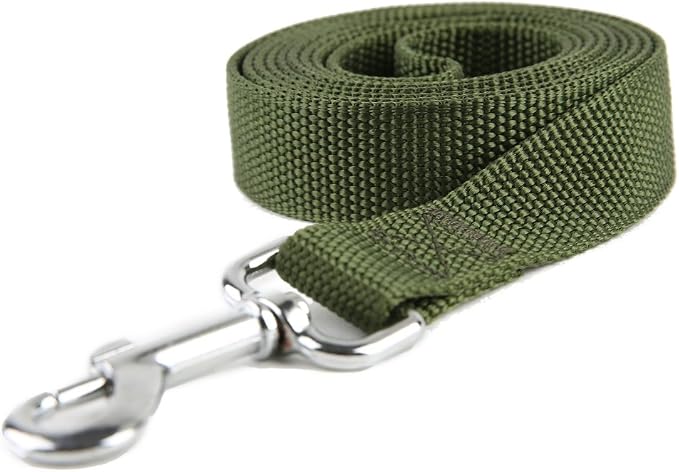 Nylon Dog Training Leash, Traction Rope, 4/5/6 Feet Long, 3/4 Inch 1 Inch Wide, for Small and Medium Dogs (1'' x 5 FT, Green) - Image 2