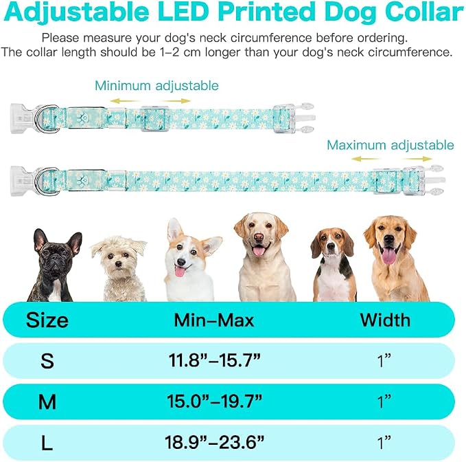 Light Up Dog Collar, USB Rechargeable, Floral Daisy Print (S) | USB Rechargeable LED Dog Collar with Bright Light, Adjustable Fit, Floral Daisy Rose Design for Safe Night Walks - Image 4