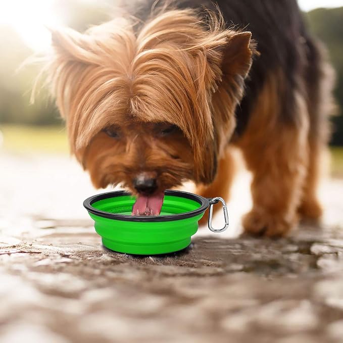Kytely Large Collapsible Dog Bowls 2 Pack, 34oz Foldable Dog Travel Bowl | Portable Dog Water Food Bowl with Clasp, Pet Cat Feeding Cup Dish for Traveling, Walking, Parking - Image 9