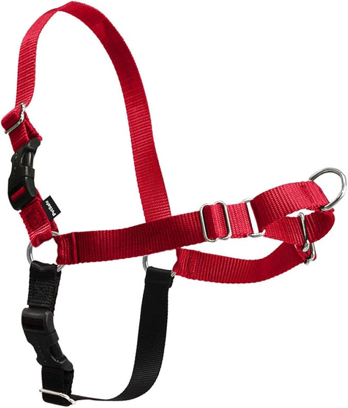 PetSafe Easy Walk Harness, No Pull Dog Harness, Red, Small | Patented Martingale Loop Gives Gradual Shoulder Pressure to Stop Pulling, Front-Chest Leash Clip Prevents Gagging by PetSafe