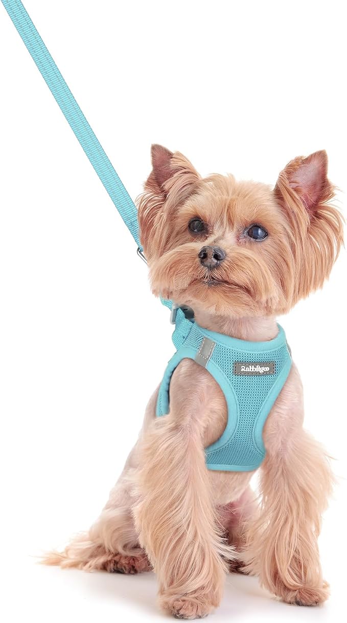 rabbitgoo Dog Harness Small Sized and Leash Set, Step-in Puppy Pet Vest | Light, Soft, Breathable Air Mesh, Easy on and Remove with Hook & Loop, Secure Reflective for Walking, Mint Blue XXS by rabbitgoo