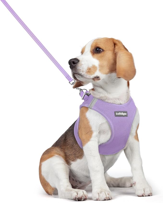 rabbitgoo Dog Harness Medium Sized and Leash Set, Step-in Puppy Pet Vest | Light, Soft, Breathable Air Mesh, Easy on and Remove with Hook & Loop, Secure Reflective for Walking, Light Purple L by rabbitgoo