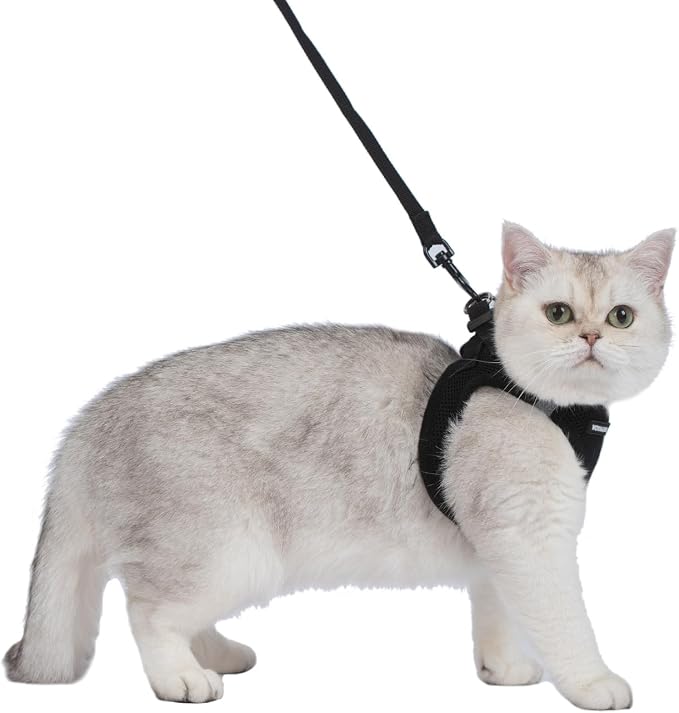 Voyager Step-in Air Cat Harness & Leash Set - Black, XXXS | 11 - 12" in Chest, Reflective Bands, All Weather Breathable Air Mesh, Cats Compatible, Fast Drying - Image 2