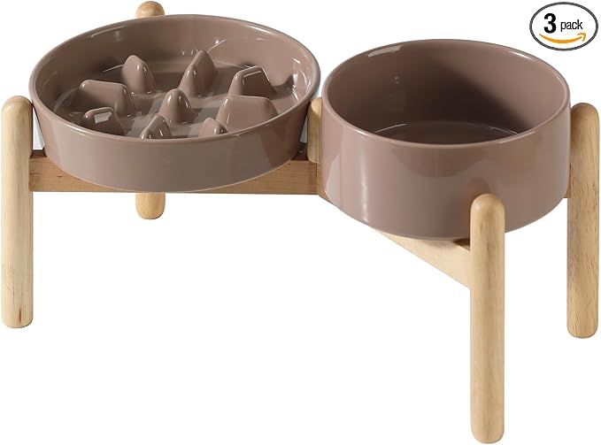 Havniva Elevated Slow Feeder Dog Bowls, Ceramic Dog Bowl Slow Feeder Set | 1.2 Cups Raised Slow Feeder Dog Bowl for Small Breed, 6.1” Dog Water Bowl with Wooden Stand, Puzzle Dog Food Bowl, Non-slip by Havniva
