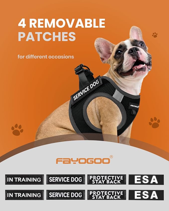 FAYOGOO Service Dog Vest for Small Breed - Lightweight Dog Harness with 6PCS Removable Patches - Puppy Harness and Leash Set for Walking,Training | Lightweight step-in vest with leash and removable identification patches; measure neck and chest before ... - Image 3