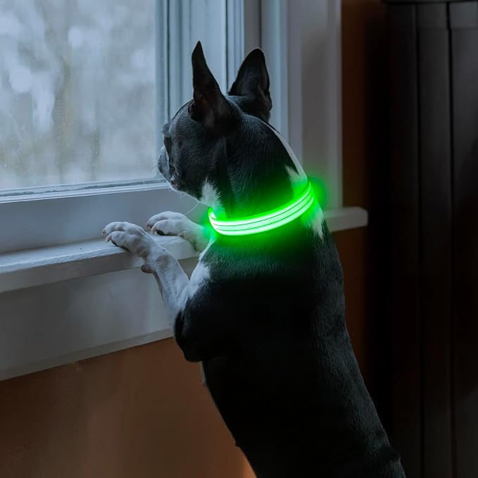 Light Up Dog Collars Rechargeable, Reflective LED Glow Dark Dog Collar for Small Medium Large Dogs, Adjustable Pet Dog Lights for Safe Night Walk-Green, Medium - Image 2