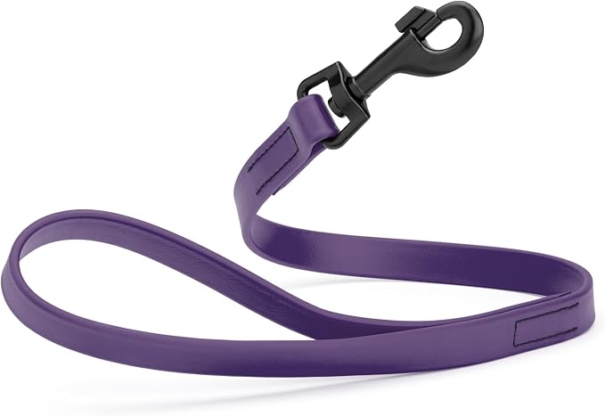 Dogline Biothane Waterproof Dog Leash Strong Coated Nylon Webbing with Black Hardware Odor-Proof Easy to Clean High Performance for Small or Large Dogs Made in USA 2 ft Lead, Violet Purple by Dogline