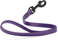 Dogline Biothane Waterproof Dog Leash Strong Coated Nylon Webbing with Black Hardware Odor-Proof Easy to Clean High Performance for Small or Large Dogs Made in USA 2 ft Lead, Violet Purple by Dogline