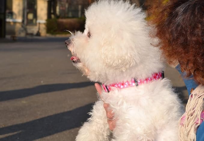 Mihqy Dog Collar, Love Heart Pattern, for Large Dogs, Pink Heart,L | Neck Fit 14.9"-24.8", Heart Patterns，4 Sizes for Small Medium Large Dogs, Comfortable for Walks and Outdoor Hikes - Image 4