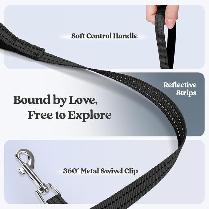 rabbitgoo Dog Harness Small Sized and Leash Set, Step-in Puppy Pet Vest | Light, Soft, Breathable Air Mesh, Easy on and Remove with Hook & Loop, Secure Reflective for Walking, Black M - Image 7