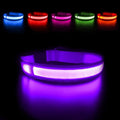 MASBRILL Light Up Collar, LED Rechargeable Glow Flashing Night Collar, Waterproof, 4 Colors, 3 Sizes for Small to Large Dogs (S(0.98 * 15.75"), Purple) by MASBRILL