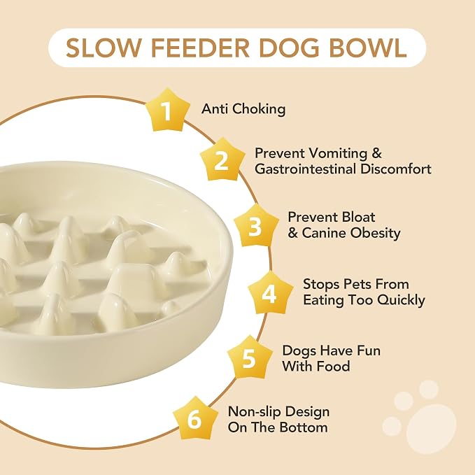 Havniva Dog Bowls Slow Feeder, Ceramic Slow Feeder Dog Bowls for Fast Eater | 1.6 Cups Dog Food Bowl Puzzle Feeder, Slow Feeding Bowls for Medium Breed, Non-Slip Base, Anti-Choking - Image 6