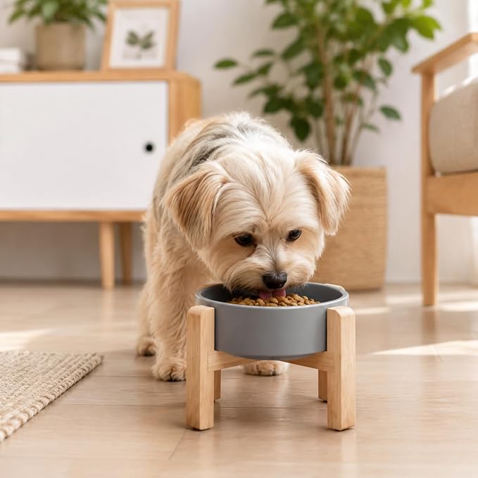 Elevated Ceramic Slow Feeder Dog Bowls Anti-Choking Slow Feeding for Small&Medium Size Anti-Slip Non-Lead & Toxic Durable Easy to Clean Maze Slow Feeder Bowl（8.26in Gray Stars Pattern） - Image 7