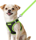 rabbitgoo Dog Harness Small Sized and Leash Set, Step in Soft Vest | Breathable Mesh, Easy Wear with Hook & Loop, Light and Reflective for Walking, Multi-colored, Black & Green, XXS by rabbitgoo