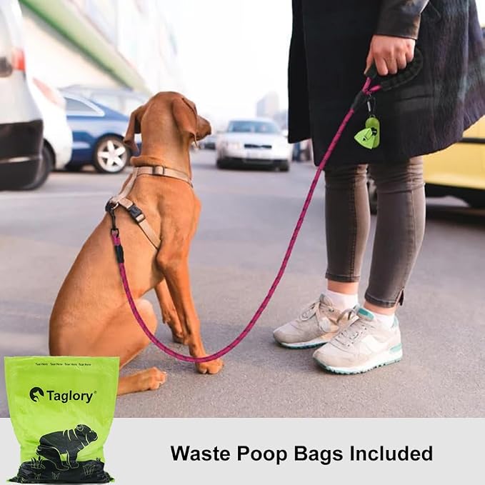 Taglory Rope Dog Leash for Small Medium Dogs, 6 FT Padded Handle, Hotpink | Made of Climbing Rope, Reflective for Night Walks and Training, Comfortable Grip, Anti-tangle Swivel Clip, 3/8 inch - Image 2