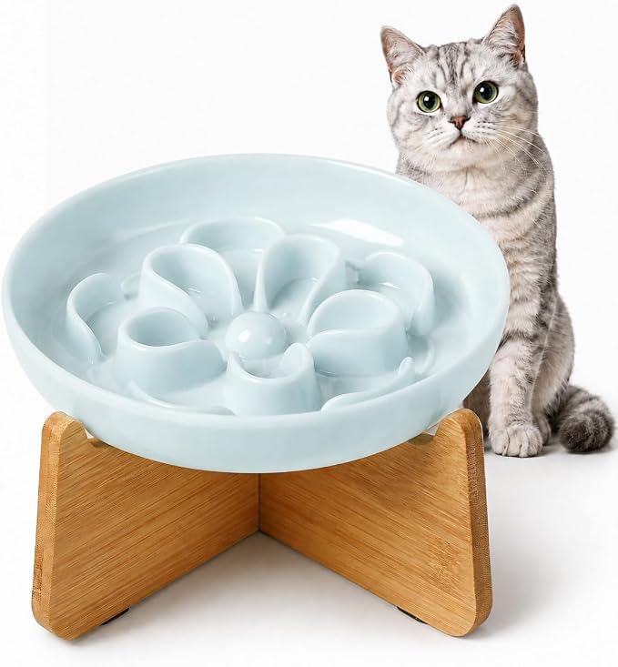 Elevated Slow Feeder Cat Bowl - Melamine Cat Dish with Anti-Slip Bamboo Stand - Whisker Friendly Feeding Bowl - Floral Maze Food Plate for Slow Eating - Blue by PTOBER