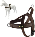 Plutus Pet No Pull Dog Harness for Medium Sized Dog, Breathable Mesh Padded | Adjustable Reflective with Handle, Escape Proof, Quick Fit Pet Vest, Front Clip, for Training and Walking, Chocolate, M by PLUTUSPET