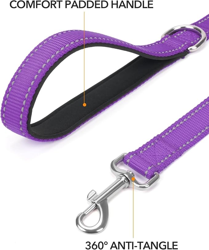 Taglory Reflective Dog Leash for Medium Large Dogs, 1in x 6ft, Purple | Ideal for Night Walking, Strong for Sudden Pulls, Lightweight & Gentle on the Neck, Soft Padded Handle - Image 2