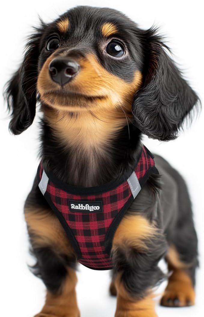 rabbitgoo Step-in Small Dog Harness, Puppy Vest for Small Sized Pet | Easy Put on and off, Lightweight, Soft, Breathable Quick-Dry Air Mesh for Comfortable Secure Walking, Red Check XXS by rabbitgoo