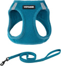 Voyager Step-in Air Cat Harness & Leash Set - Turquoise, M | 15 - 17" in Chest, Reflective Bands, All Weather Breathable Air Mesh, Cats Compatible, Fast Drying by BestPetSuppliesLLC