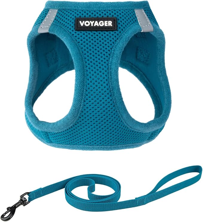 Voyager Step-in Air Cat Harness & Leash Set - Turquoise, M | 15 - 17" in Chest, Reflective Bands, All Weather Breathable Air Mesh, Cats Compatible, Fast Drying by BestPetSuppliesLLC