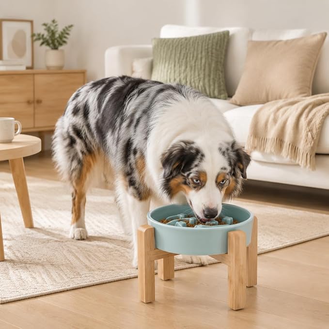 Elevated Ceramic Slow Feeder Dog Bowls Anti-Choking Slow Feeding for Medium& Large Anti-Slip Non-Lead & Toxic Durable Easy to Clean Maze Slow Feeder Bowl（8.66in Mint Blue Stars Pattern） - Image 6