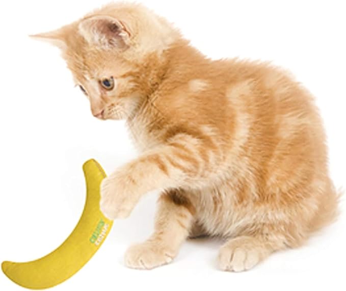 Cosmic OurPets 100-Percent North American Catnip Filled Cat Toy-Hot Stuff (Interactive Cat Toy, Toys for Indoor Cats, Catnip Toys) - A-PEELING - Image 6