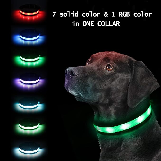 Light Up Dog Collar, Safety LED Dog Collars Rechargeable 7 Colors in One Lighted Dog Collar Glow in The Dark Dog Walking Light, Neon Durable Nylon Adjustable Buckle for Small/Medium/Large Dogs, M Size - Image 2