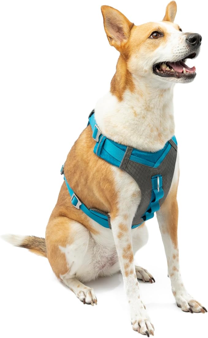 Kurgo Journey Air Dog Harness, Blue, Extra Large | Padded Chest, Ripstop Outer & Breathable Mesh, Back Assist Handle, Rust-Free Aluminum Hardware, Reflective Trim by Kurgo