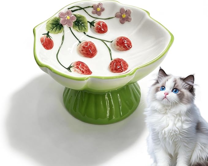 Ceramic Strawberry Elevated Cat Bowls, Tilted Raised Pet Dish for Anti Vomit, Spine Protection, Whisker Friendly - Excellent Raised Food and Water Bowl for Indoor Cats, Flat-Faced Cats (Green) by Unknown