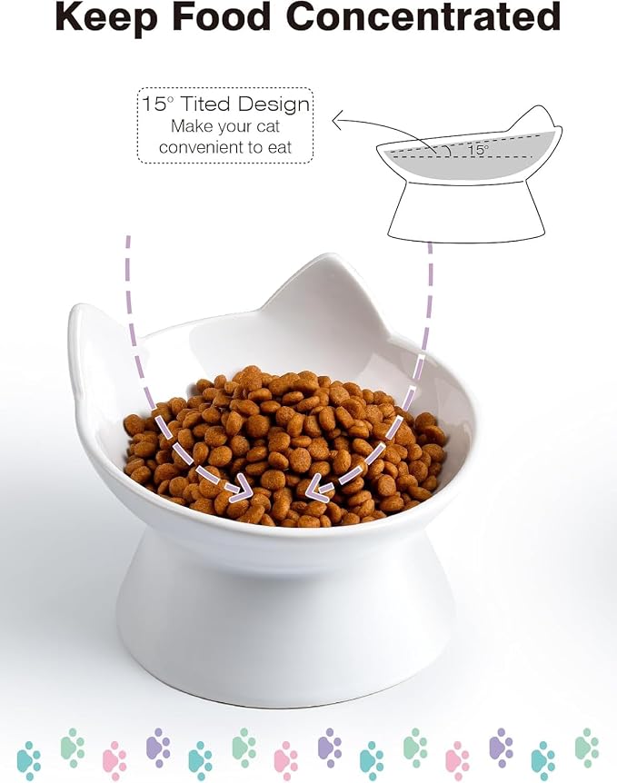 ABRUTY Cat Food Bowl, 5 OZ Ceramic Elevated Kitten Water Bowl, 15° Tilted Raised Pet Feeder, Anti Vomiting and Whisker Friendly Dishes for Fat Faced, Cat, Kitten, Small Dog - Image 7