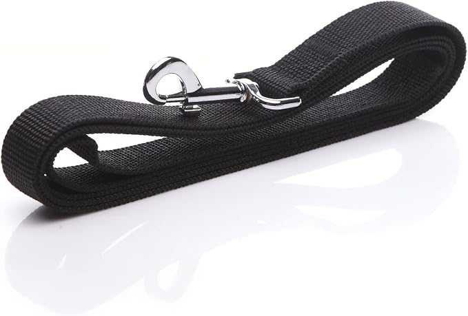 Nylon Dog Leash 4 Ft 5 Feet 6 Foot Long, Walking Training Dog Leashes for Medium Large Dogs, 1 Inch Wide (3/4" X 6 ft, Black) - Image 3