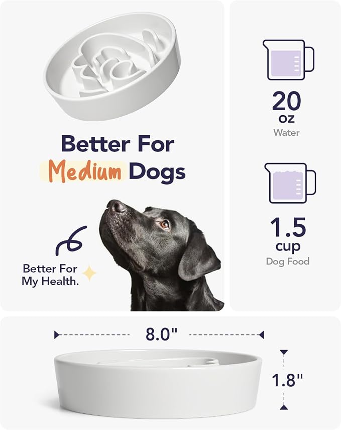 LE TAUCI Dog Bowls Slow Feeder Ceramic, 1.5 Cups Slow Feeding Dog Bowl Small Medium Breed, Puppy Bowl for Fast Eaters,Angel White - Image 4
