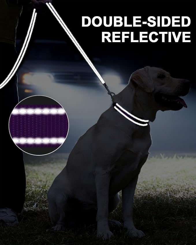 Taglory Reflective Dog Leash for Medium Large Dogs, 1in x 5ft, Purple | Ideal for Night Walking, Strong for Sudden Pulls, Lightweight & Gentle on the Neck, Soft Padded Handle - Image 5