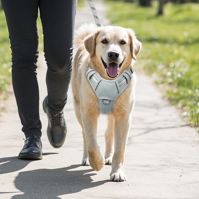 BARKBAY No Pull Dog Harness Large Reflective Dog Harness with Front Clip and Easy Control Handle for Walking Training Running with ID tag Pocket(Grey,M) - Image 9