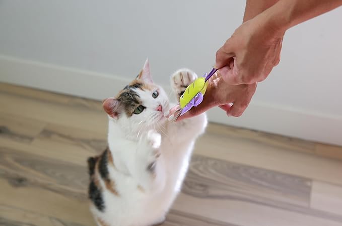 MAD CAT Slingshot Critters Butterfly Plush CAT Toy with Catnip | Plush launcher style play, stretch and send it flying, sparks natural hunting instincts, engaging for felines, pack of 1 - Image 4