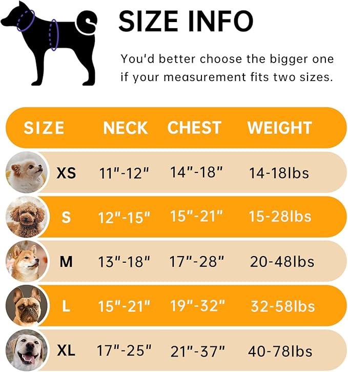 IVY&LANE No Pull Dog Harness for Large Dogs, Dog Vest Harness with Leash, Safety Belt and Storage Strap, Fully Adjustable Harness, 360° Reflective Strip, Soft Handle (Orange, L) - Image 2