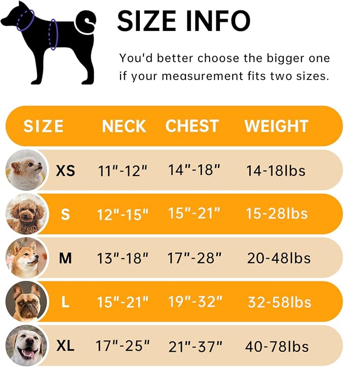 IVY&LANE No Pull Dog Harness for Small Dogs, Vest Harness with Leash, Safety Belt and Storage Strap, Fully Adjustable, 360° Reflective Strip, Soft Handle (Orange, S) - Image 2