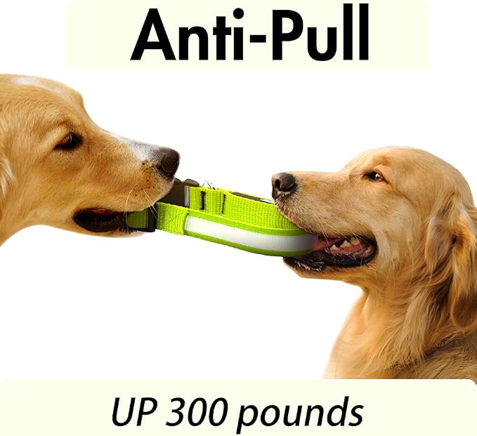 Light up Dog Collar Full Adjustable Dog Collar Safety Glowing(Green, Large) | Waterproof,Nylon,Soft,Super Bright Light Collars for Small Medium and Large Dogs,USB C to Charge - Image 5