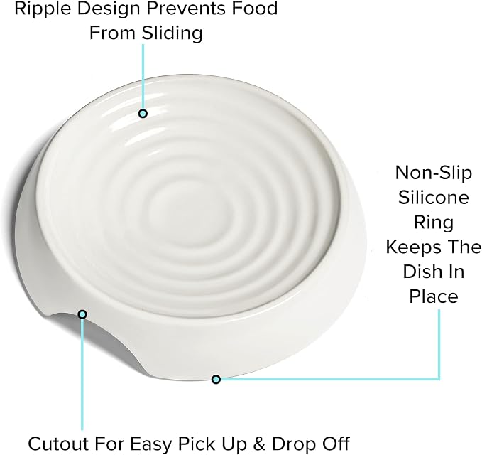 CatGuru Cat Bowls, Whisker Friendly Food Bowl for Indoor Cats, Reliefs Whisker Fatigue, Wide Kitten Dish, Non Slip Pet Dishes, Shallow Pet Plates (Ceramic (Pack of 2)) - Image 4