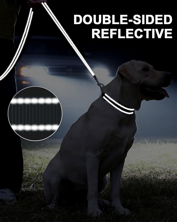 Taglory Reflective Dog Leash for Small Dogs, 3/4in x 6ft, Grey | Ideal for Night Walking, Strong for Sudden Pulls, Lightweight & Gentle on the Neck, Soft Padded Handle - Image 5