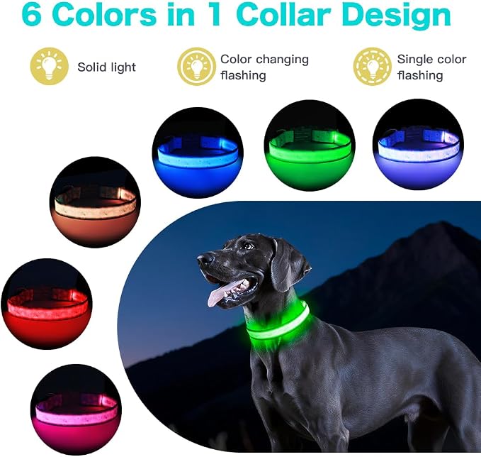 Light Up Dog Collar, USB Rechargeable, Floral Daisy Print (M) | USB Rechargeable LED Dog Collar with Bright Light, Adjustable Fit, Floral Daisy Rose Design for Safe Night Walks - Image 3