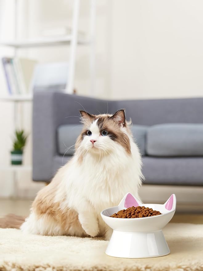 ABRUTY Cat Food Bowl, 5 OZ Ceramic Elevated Kitten Water Bowl, 15° Tilted Raised Pet Feeder, Anti Vomiting and Whisker Friendly Dishes for Fat Faced, Cat, Kitten, Small Dog - Image 8