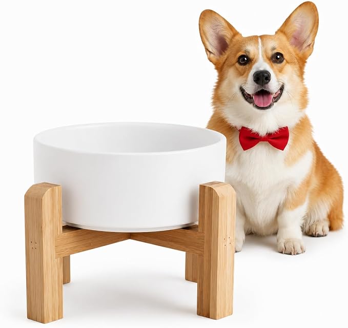 Elevated/Raised Ceramic Dog Bowl with Bamboo Stand，6 Inch 3.6 Cups Non Slip Heavy Weighted Single Pet Dish, for Small Medium Breed & Cats,Reduces Neck Strain White by addggo