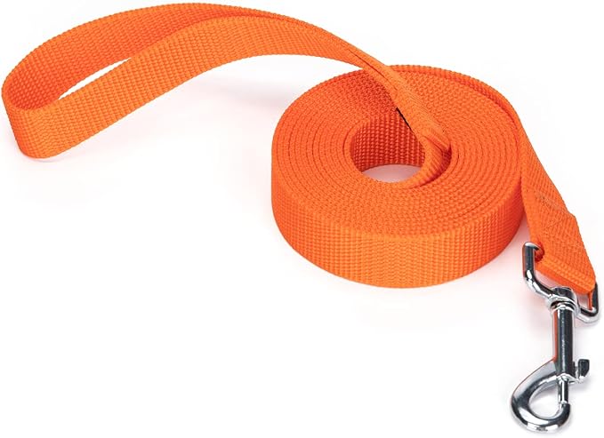 Strong Durable Nylon Dog Training Leash, 1 Inch Wide Traction Rope, 6 ft 10ft 15ft Long, for Small and Medium Dog (Orange, 10 Feet) by Siumouhoi