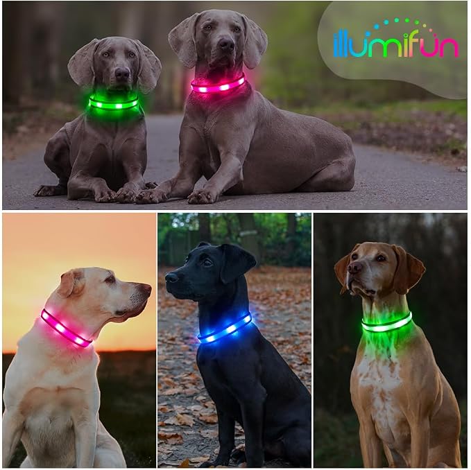 Illumifun Light Up Dog Collar - USB Rechargeable LED Dog Collar Glow in the Dark - High Visibility Glow Collar for Night Walking (Small, Fluorescent Green) - Image 7
